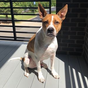 Meet your Posher, Mallory